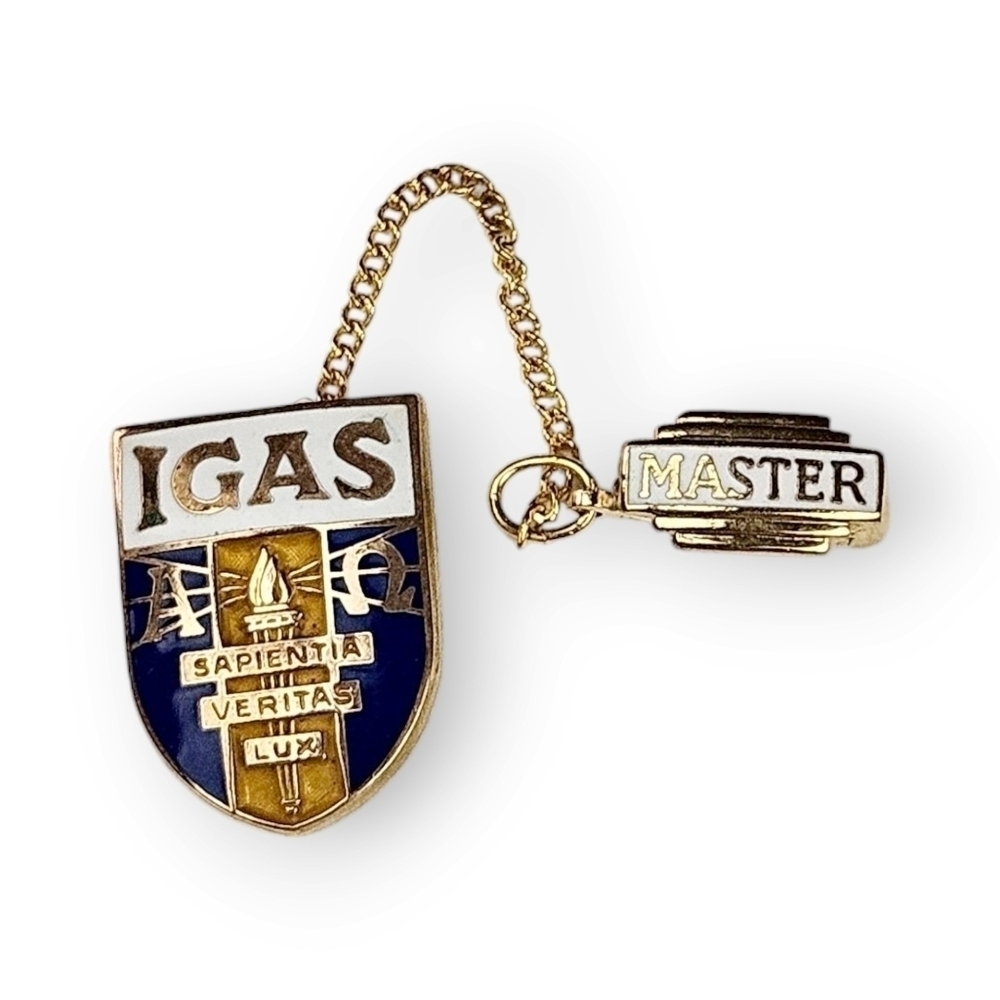 IGAS Master Double Pin Brooch Enamel Gold Plated Graphoanalysis Pollack Tiny